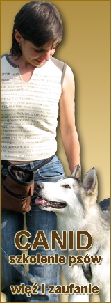 Canid_Szkoła2