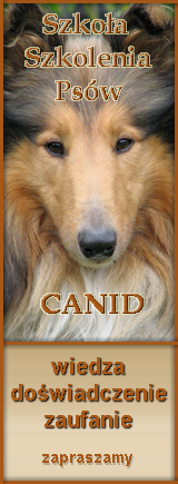 Canid_Szkoła