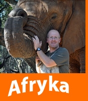 Afryka