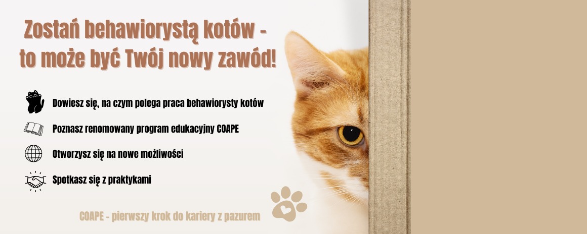 Dzień Otwarty COAPE Polska - behawiorysta kotów